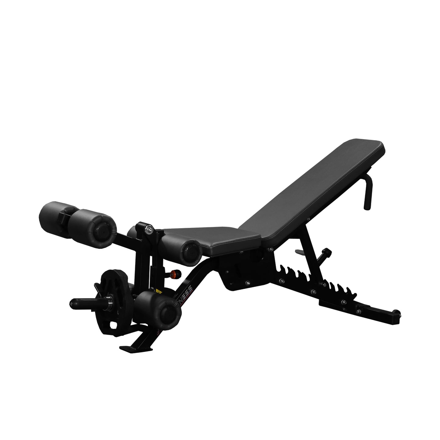 MULTI ADJUSTABLE BENCH