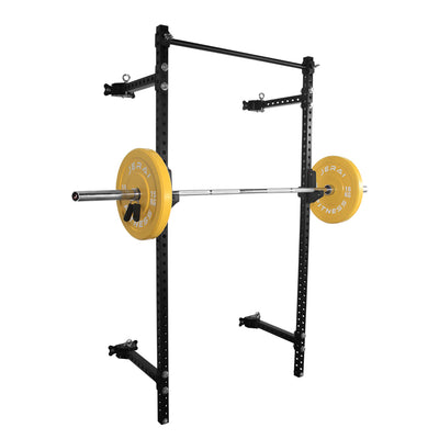 WALL MOUNTED PERSONAL GYM FOLDABLE