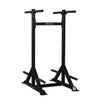 2 WAY PUSH UPS / DIP STAND