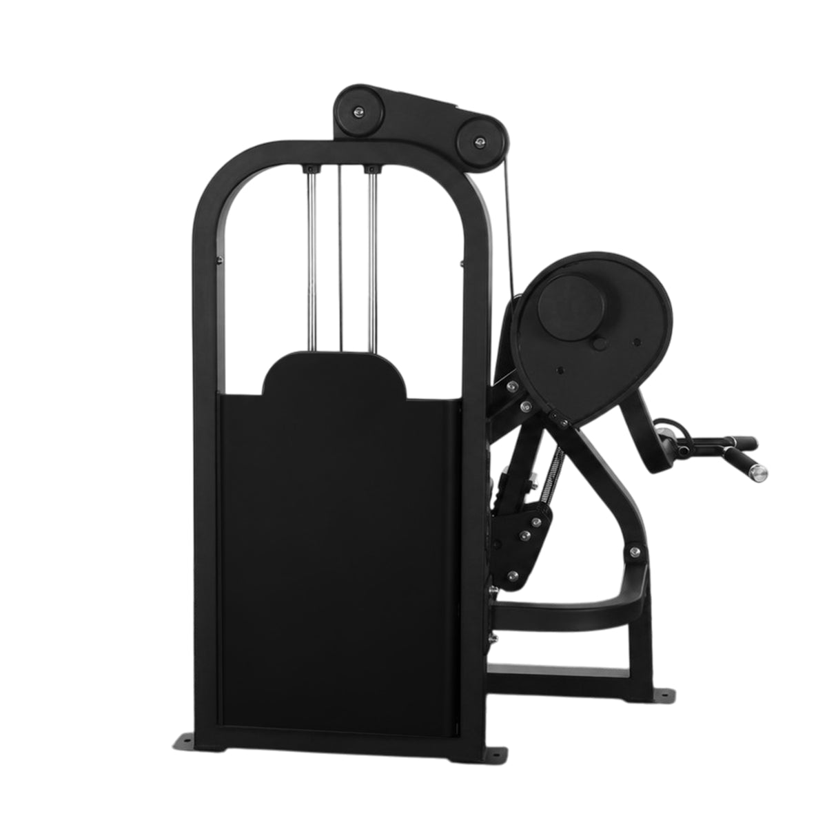 BICEP CURL