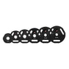RUBBERIZED WEIGHT PLATE